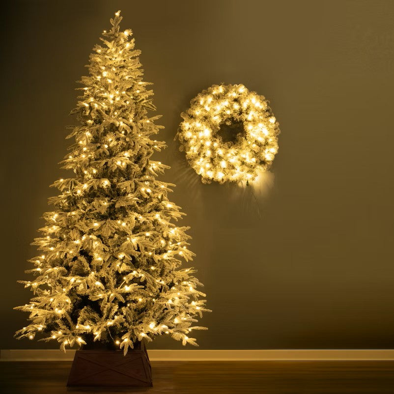 The Brilliant Simply-Set Spruce