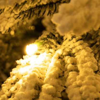 The Brilliant Simply-Set Spruce