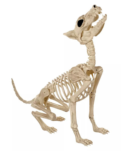 Werewolf Skeleton 70cm